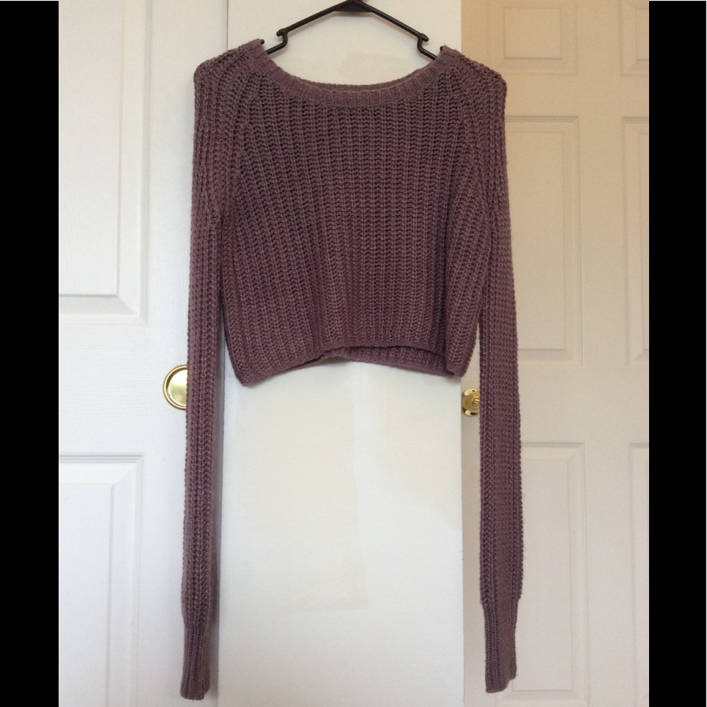 Urban Outfitters Cropped Knit Plum Sweater